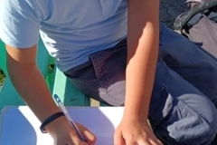 19